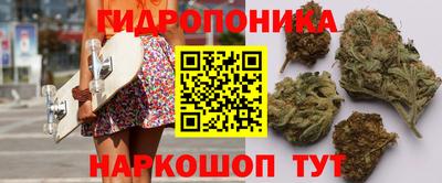 гашик Бузулук