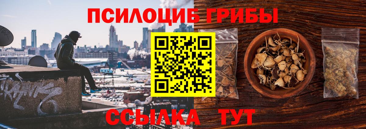 Тольятти  Псилоцибиновые грибы Psilocybe  Вход с VPN 