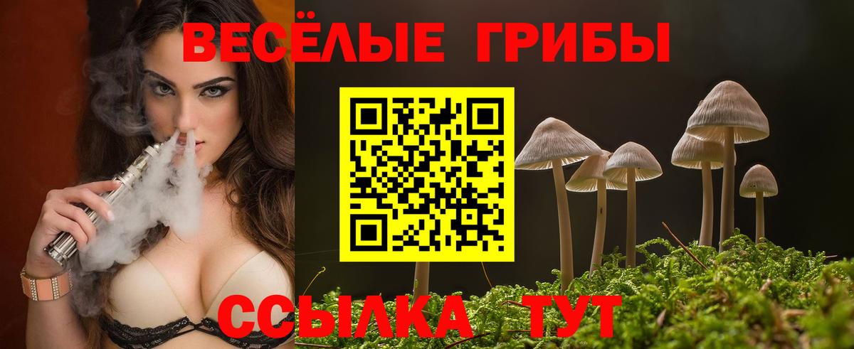 Галлюциногенные грибы мухоморы Тольятти